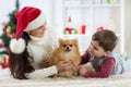 Woman and her son celebrating christmas with furry friend. Mother and kid with terrier dog. Pretty child boy with puppy Royalty Free Stock Photo