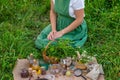 woman and herbal tinctures, tea, medicinal herbs. Royalty Free Stock Photo
