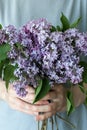 Woman hiding head in bouquet lilac flowers over colorful blue background Royalty Free Stock Photo