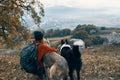 woman hiker dogs travel friendship nature landscape