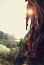 Woman hiker enjoy the view at sunrise mountain peak cliff Royalty Free Stock Photo