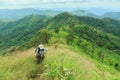 Woman hiker going to the top of the mountain