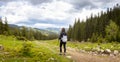 Woman hiker hiking in the mountains in summer