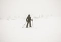 Woman hiker hiking snowshoeing on snow trail in Levi, Finland at blizzard. Beautiful landscape with white snow