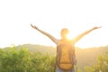 Woman hiker mountain top Royalty Free Stock Photo