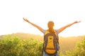 Woman hiker raised arms mountain top Royalty Free Stock Photo