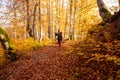 The woman hiker travels in the woods is looking around Royalty Free Stock Photo