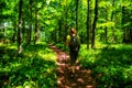 Woman hiker with trekking poles walking on beautiful green forest path Royalty Free Stock Photo