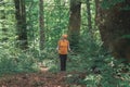 Woman hiker trekking and walking in forest Royalty Free Stock Photo