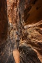 Woman Hiker in a Very Narrow Slot Canyon, Capitol Reef National Park. Royalty Free Stock Photo