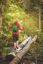 Woman hiker walking in forest outdoor. Tourism concept