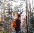 Woman hiker walking on the trail in pine woods and looking away. Royalty Free Stock Photo