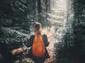 Woman hiker walking on the trail in pine woods Royalty Free Stock Photo