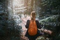 Woman hiker walking on the trail in pine woods Royalty Free Stock Photo