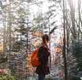 Woman hiker walking on the trail in pine woods Royalty Free Stock Photo