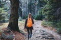 Woman hiker walking on the trail in the woods. Back view. Royalty Free Stock Photo