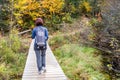 Woman hiker on a walkway along a forest trail Royalty Free Stock Photo