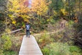 Lonely woman hiker on a wooden walkway along a forest path Royalty Free Stock Photo