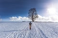 Woman hikes to a tree in winter