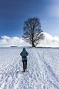 Woman hikes to a tree in winter