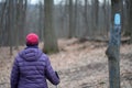 Woman hiking blue blaze trail in a hardwood forest in the winter