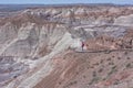 Woman Hiking Blue Mesa At The Petrified Forest