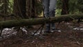 A woman in hiking boots overstep a tree in the forest. Girl in winter trackers