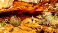 Woman hiking through a Cave on the Canyon Overlook Trail in Zion National Park, Royalty Free Stock Photo