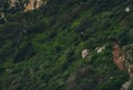 Woman during hiking climbing up at Natural Park of Penyal d`Ifac mount standing on mountain trail posing on beautiful nature in Ca Royalty Free Stock Photo