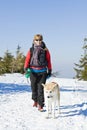 Woman hiking with dog in winter Royalty Free Stock Photo