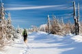 Woman Hiking With Dog In Winter Mountains