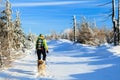 Woman hiking with dog in winter Royalty Free Stock Photo