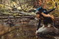 Woman Hiking in the Forest and her Hand Touching the cold River Water Royalty Free Stock Photo