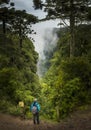 Woman hiking in forest in the mountains