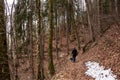 A woman hiking with her dog through a forest in the Bavarian mountains Royalty Free Stock Photo