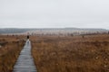 Woman hiking in the High Fens rain landscape Botrange Belgium