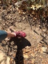 Woman hiking on a hiking trail in the mountains