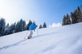 Woman is hiking with snowshoes on snow trail in winter landscape of forest in Oberstdorf, Bavaria Alps in South of Germany. Royalty Free Stock Photo
