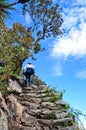 Woman hiking to the top of Machu Picchu Royalty Free Stock Photo