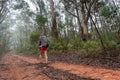 Woman hiking on a trail in the Blue Mountains Royalty Free Stock Photo