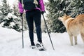 Woman hiking and walking in winter forest with dog