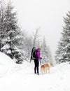 Happy woman walking in winter forest with dog Royalty Free Stock Photo