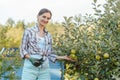 Woman in hobby garden harvesting apples from tree
