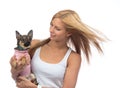 Woman hold in hands small Chihuahua dog or puppy Royalty Free Stock Photo