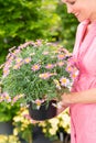 Woman hold potted daisy flower garden centre Royalty Free Stock Photo