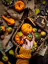 Woman hold small pumpkin in hand opposite the assorted small colorful pumpkins