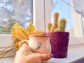 Woman holdig a Cup of autumn tea, coffee, and yellow dry leaves near a window, Royalty Free Stock Photo