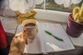 Woman holdig a Cup of autumn tea, coffee, and yellow dry leaves near a window, Royalty Free Stock Photo