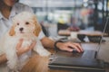 Woman holding adorable dog at cafe restaurant. female teenager s Royalty Free Stock Photo