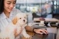 Woman holding adorable dog at cafe restaurant. female teenager s Royalty Free Stock Photo